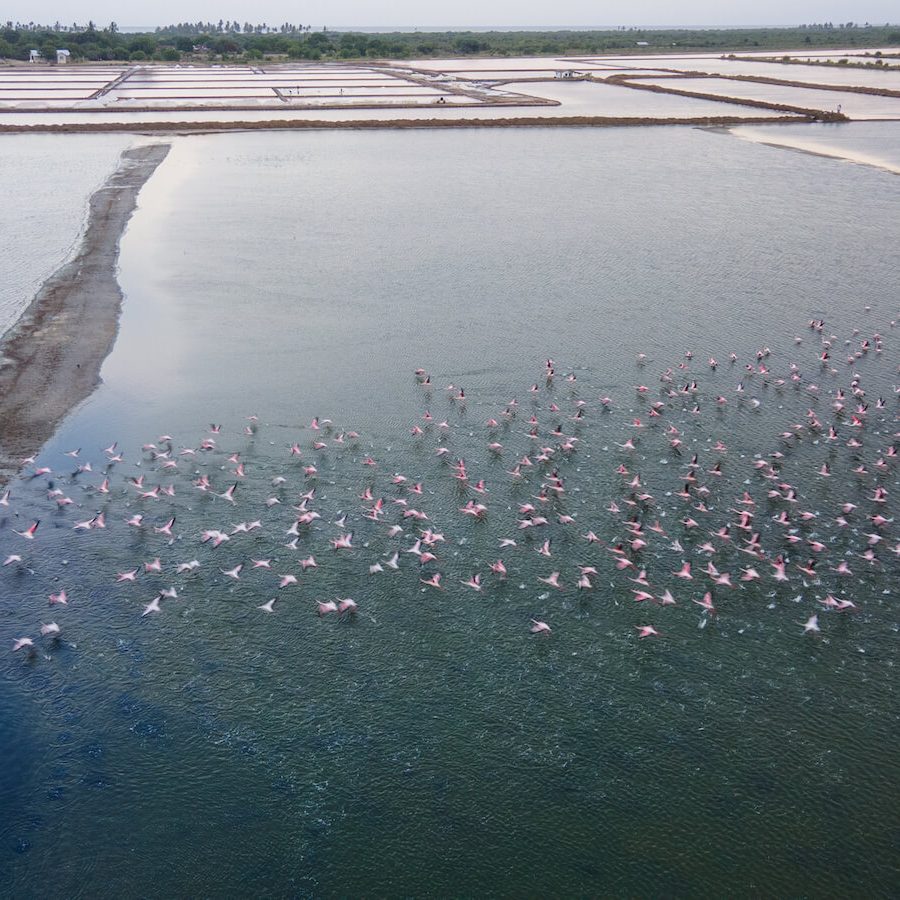 bagamoyo-sea-salt-community-1