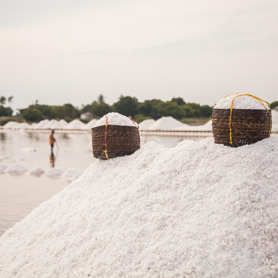 bagamoyo-sea-salt-community-2